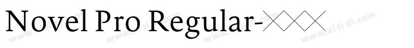 Novel Pro Regular字体转换